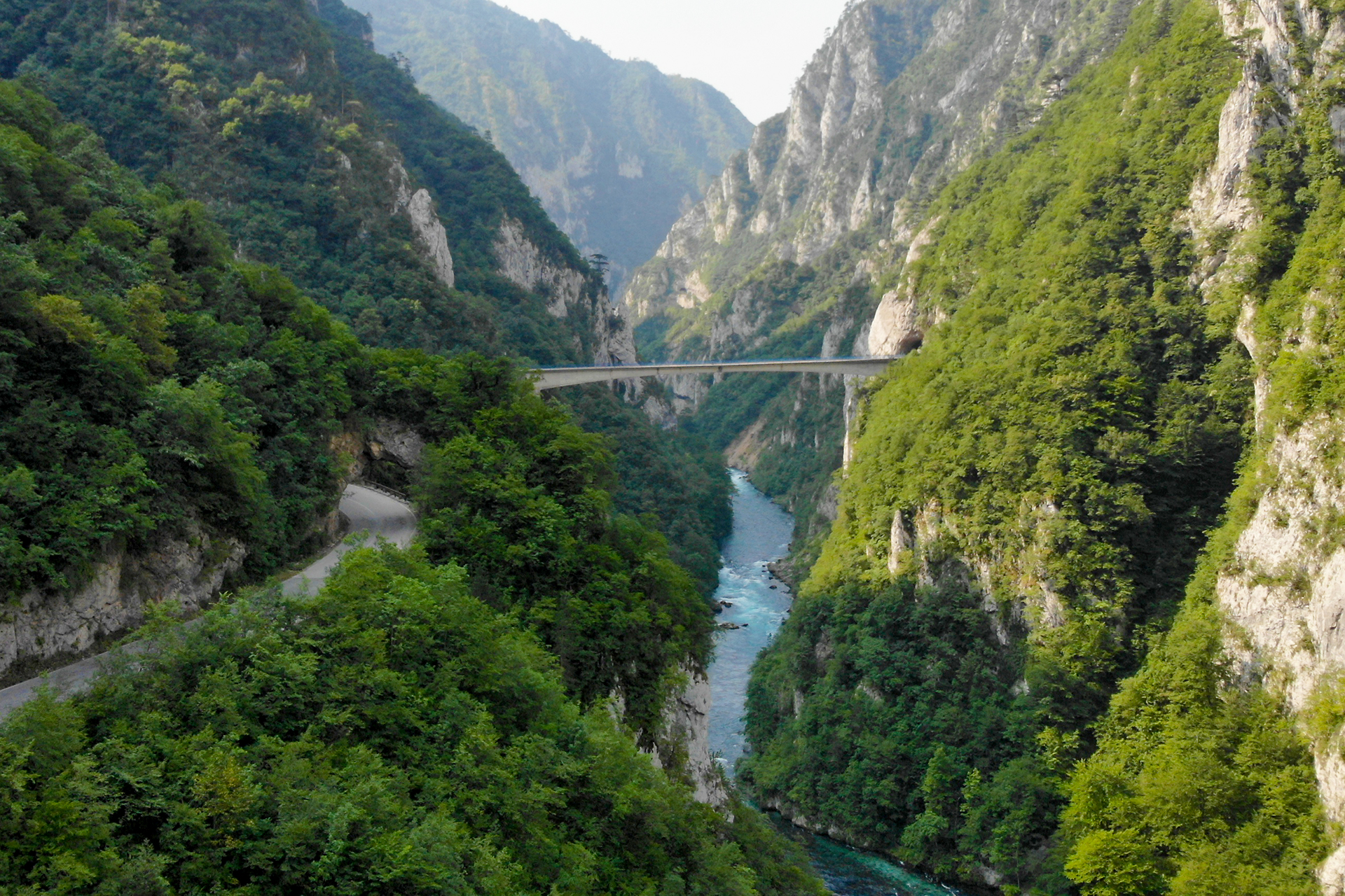 Featured Grid Content-1